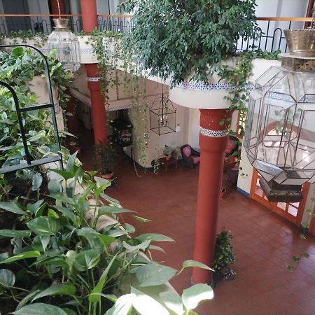 Apartament Estudio Reina Y Pastora El Rocío Zewnętrze zdjęcie