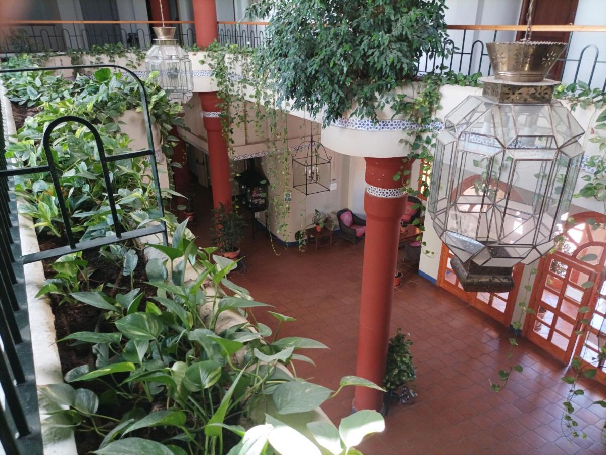 Apartament Estudio Reina Y Pastora El Rocío Zewnętrze zdjęcie